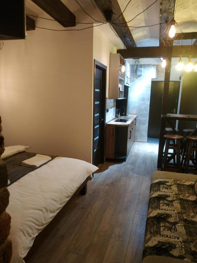 Loft Апартаменти З Балконом В Центрі Львова Екстериор снимка